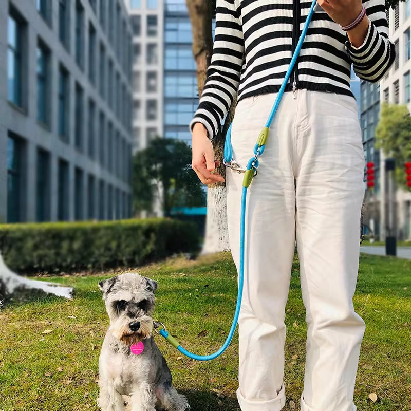 Reflective Nylon Hands-Free Dog Leash β for Running & Walking, Small & Large Dogs