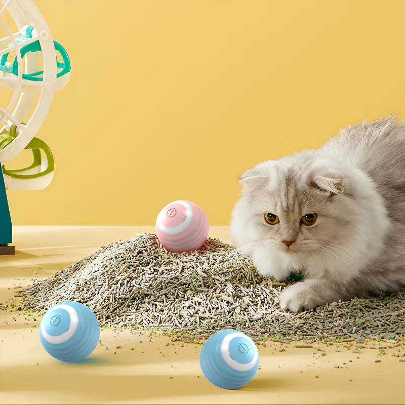 Interactive Smart Cat Toy Ball โ Automatic Rolling Magic Ball for Cats