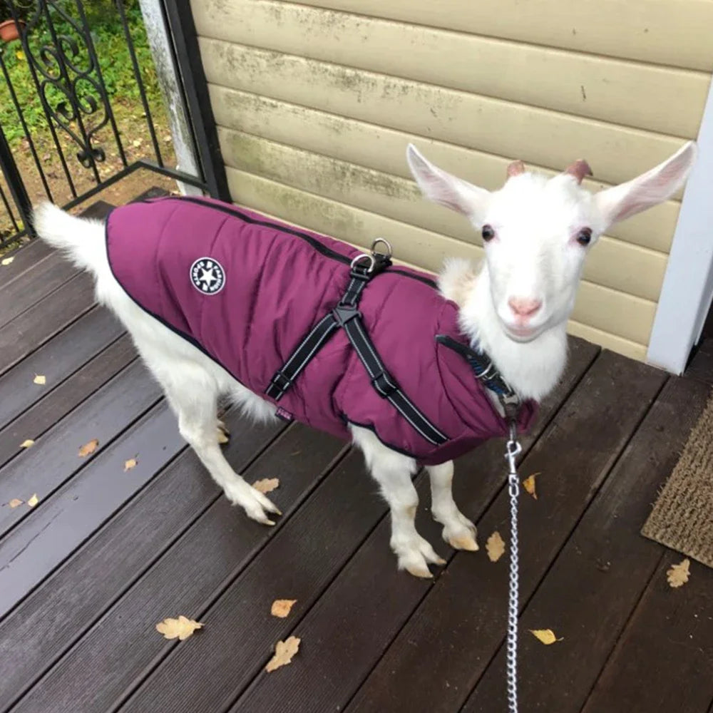 Large Dog Jacket with Harness โ Winter Warm Waterproof Coat for Big Dogs & Small Breeds