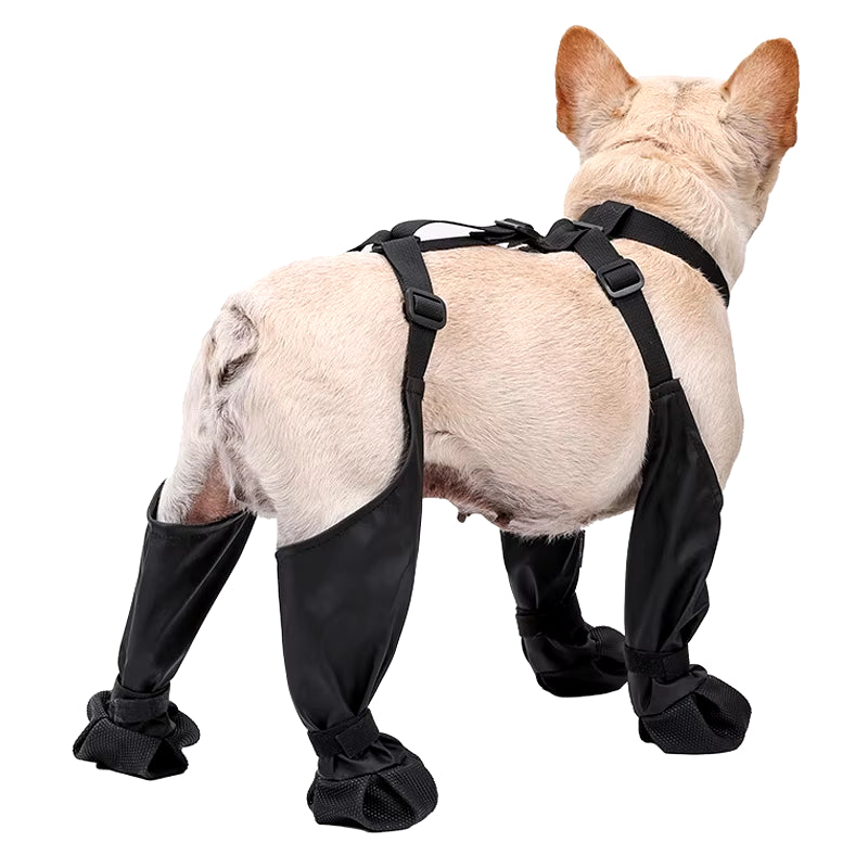 Waterproof Adjustable Dog Boots Outdoor Shoes for Small & Medium Dogs