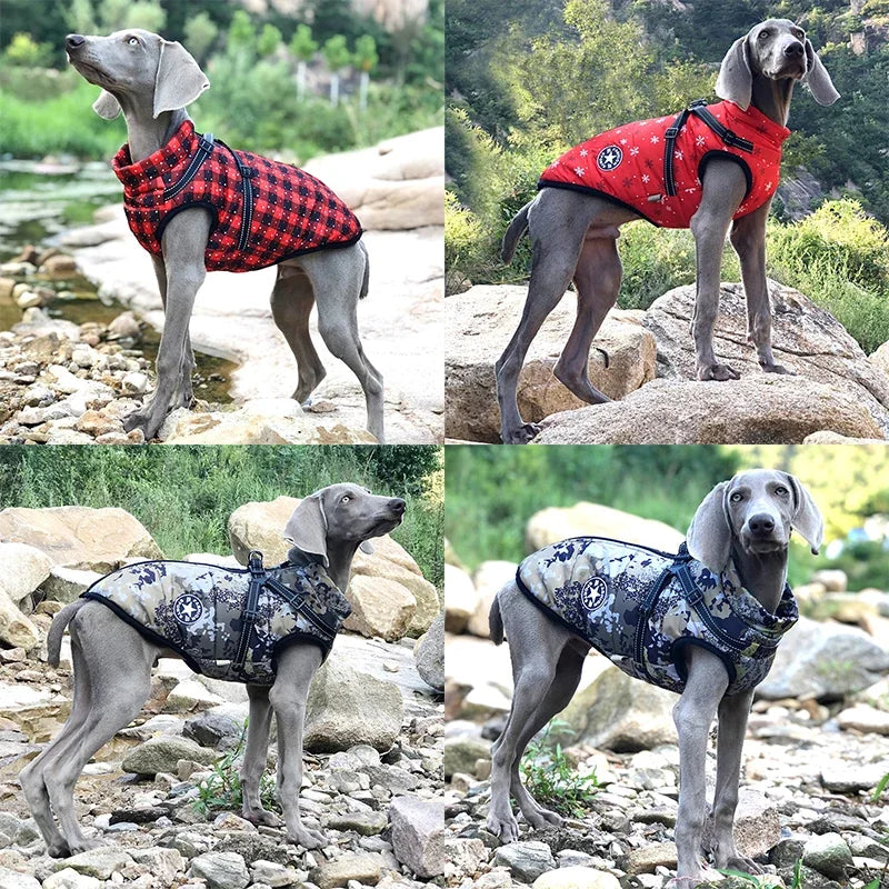 Large Dog Jacket with Harness โ Winter Warm Waterproof Coat for Big Dogs & Small Breeds