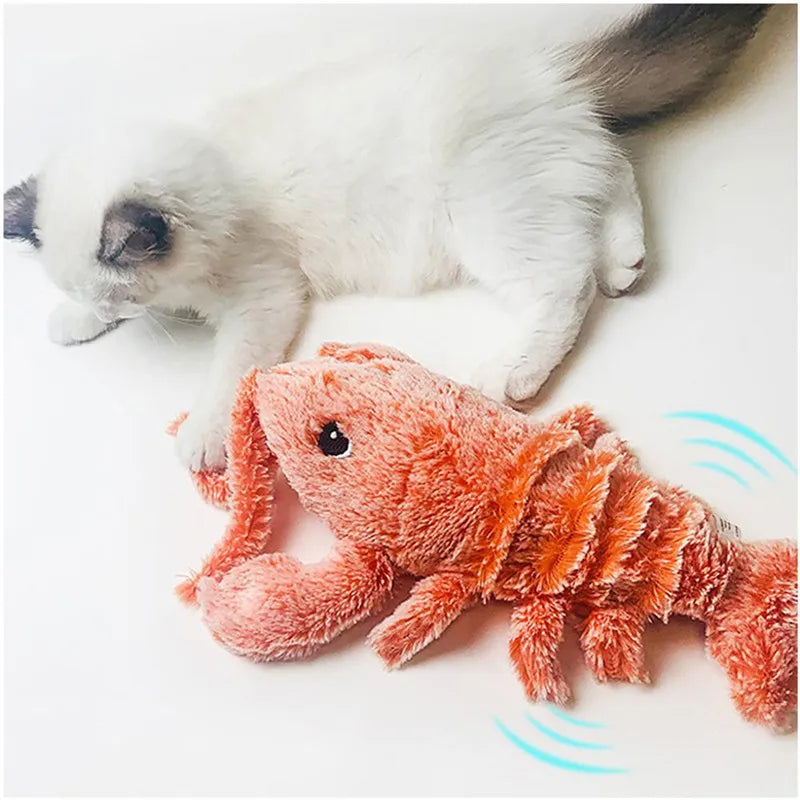 Interactive Dancing Lobster Pet Toy | USB Rechargeable for Cats & Dogs