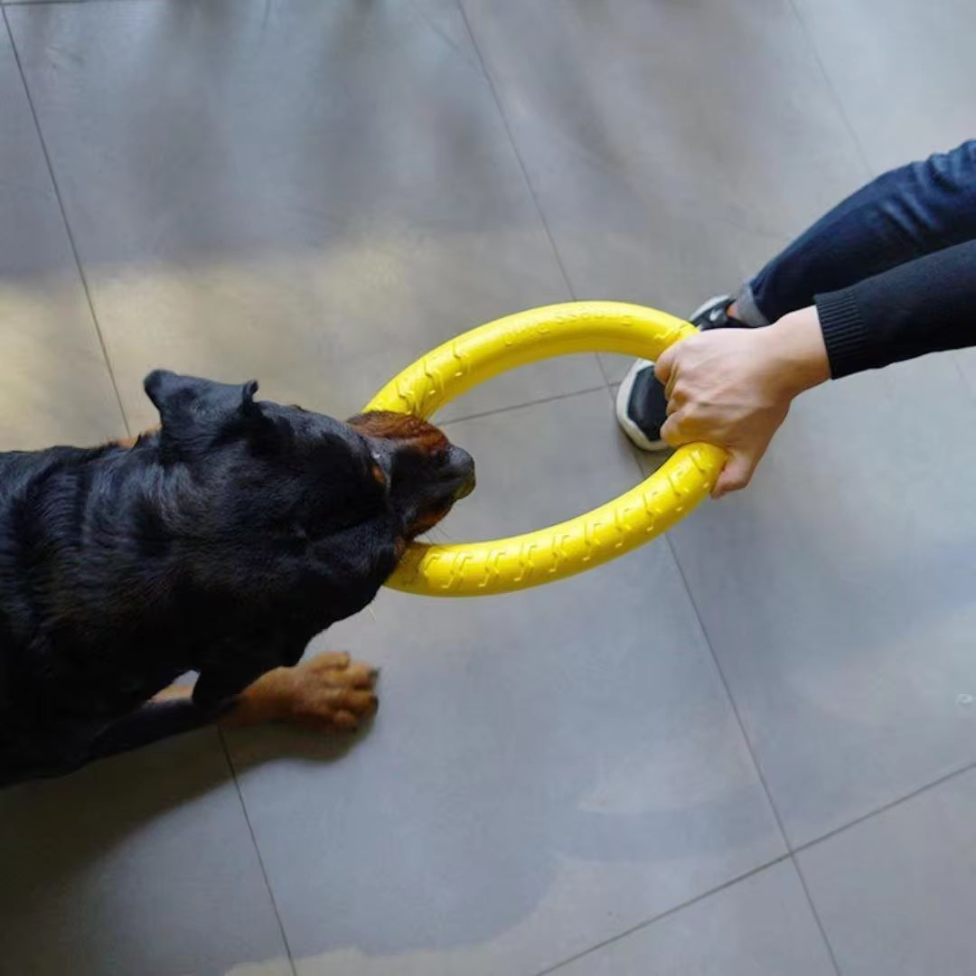 Indestructible Dog Ring Toy Chewing, Flying & Fetch