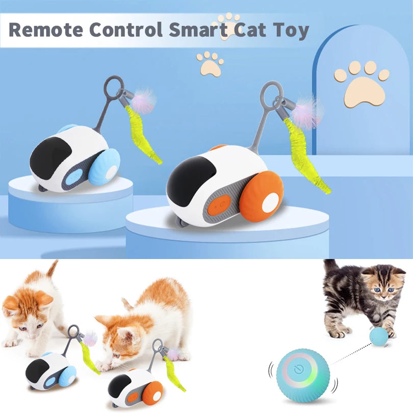 Smart Interactive Pet Car Toy | Automatic Moving & Remote Mouse