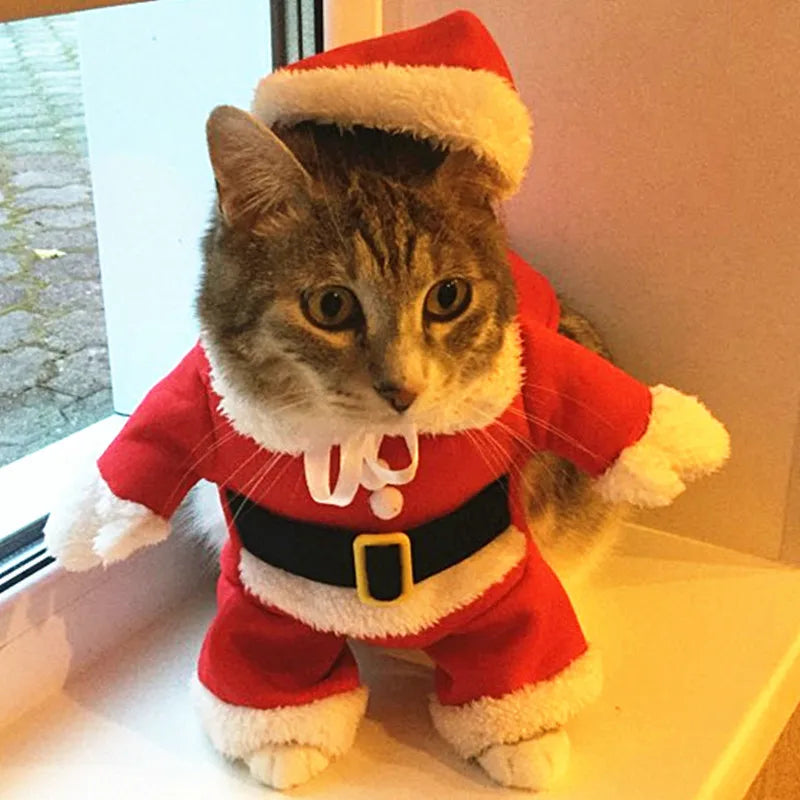 Christmas Cat Costume – Santa Claus Outfit for Small Cats & Dogs