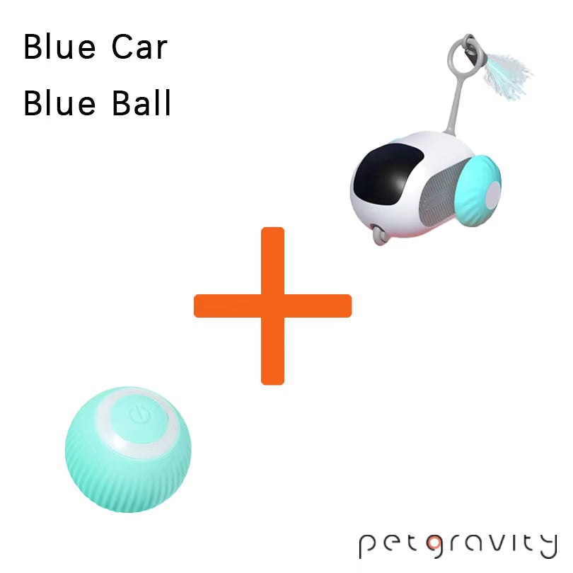 Smart Interactive Pet Car Toy | Automatic Moving & Remote Mouse