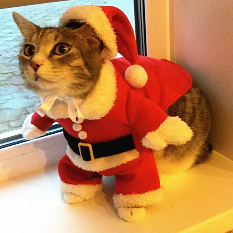 Christmas Cat Costume – Santa Claus Outfit for Small Cats & Dogs