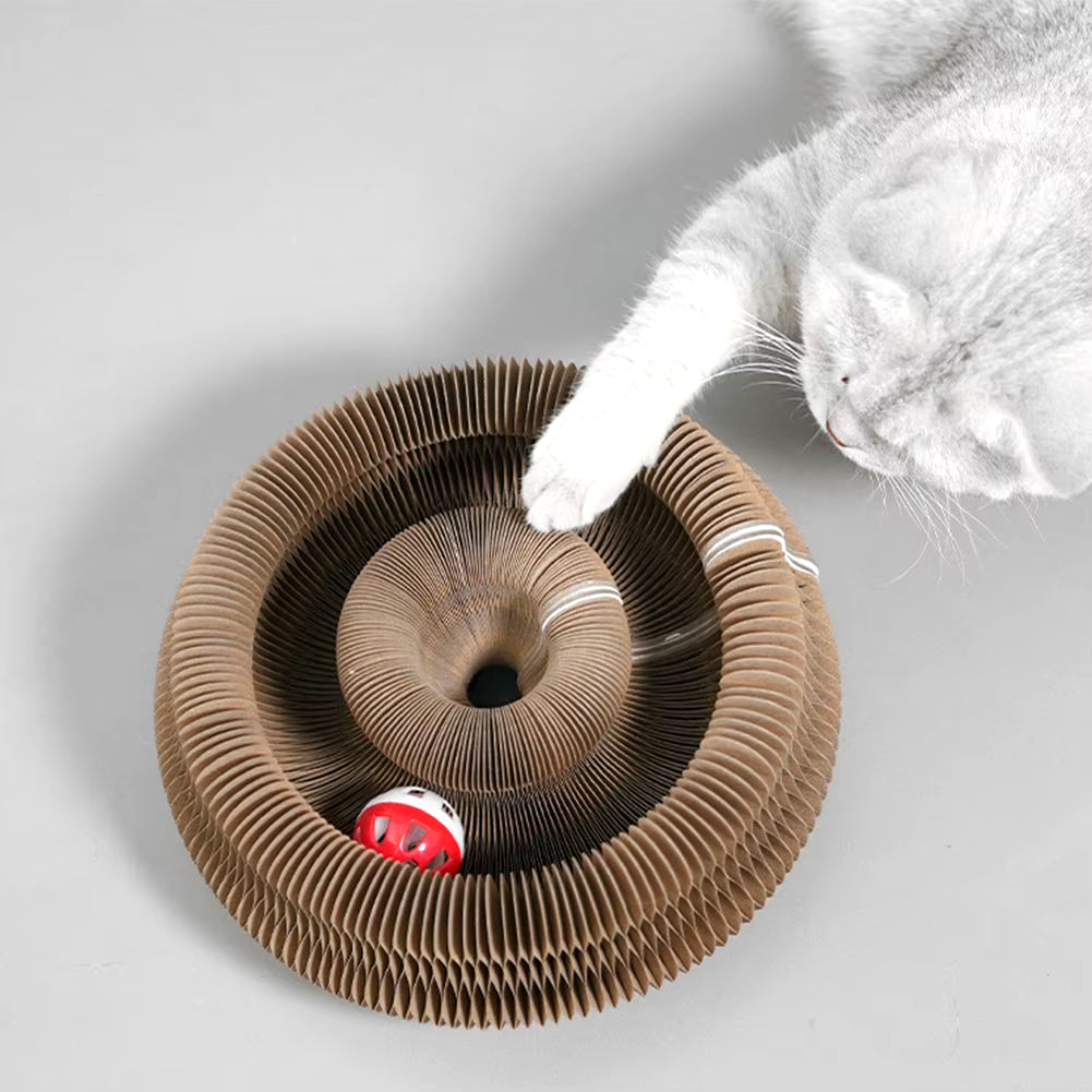 Magic Organ Cat Scratcher - Interactive Toy & Claw Grinder